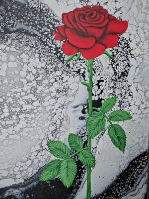 Im loving the striking contrast between the vibrant red rose and the monochromatic swirling background 🌹✨ This piece is a celebration of resilience, beauty, and the ability to thrive even in the most abstract of worlds. What emotions does this painting stir in you? Share your thoughts below! 📆Available in my January Art Drop on January 10th at 12pst  #ArtInspiration #redroseart #paintpouring #fluidartuniverse #modernArt #mixedmediaart