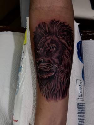 #fy #viralvideos #guanajuatocheck🇲🇽🍻 #grandrapidsmichigan #grandrapidstattoos #tattoo #blackandgreytattoo #michigantattooartist #guanajuatotattoos #uriangatogtotatuajes #liontattoos 