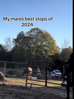 #capcut #fypage #capcutvelocity #funknocapcut #equestrian #barrelracer #funk #horseintraining #horserider #viralvideo_07 #viral #meme #newhorse #rodoetok #oldhorse #horse #wheneverwherever #horseriders 