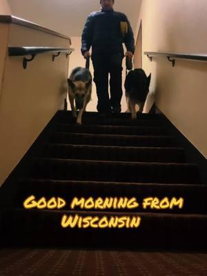 Another #dog #friendly #hotelstay #superior #wisconsin #travel  #doglife #lifewithdogs #fypシ #foryoupage #mylife 