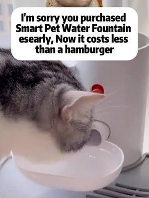 This innovative pet water fountain allows my cat to always have access to clean water! #waterbowl #petwaterbowl #waterfountainforpet #waterfilter #catwaterfountain