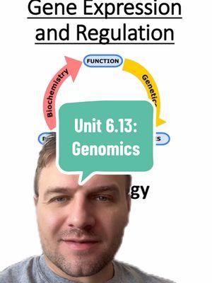 Unit 6.13: Genomics #biology #apbiology #science #unit6 #dna #rna #protein #centraldogma #genome #genomics #23andme #apbio #gene #chromosome #telomere 