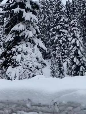 #washinton #snoqualmiepass #paratii #hermosopaisaje #🥰 #nieve #nevado #montaña #bonitacancion #USA #losyonics #🥶 #❄️ 