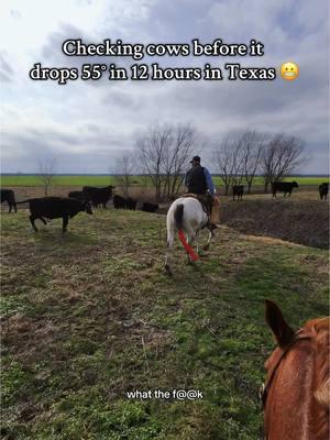 beautiful day before the cold front comes through 🥶 #texas #horsegirlvibes #ranchlife #pov #raybanmeta #ranchcowboy #doctoringcattle #ranchhorses #roping #raybanmetasunglass #baldbaddie 