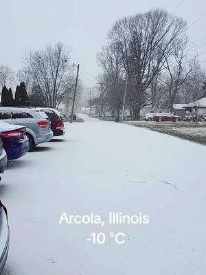 Y lo Que Falta 🥶😎🇺🇲#tiktok #nevando #illinois #viral #tiktok 