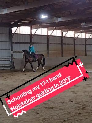 it's cold outside but baby you got a ride come with me ride dressage!#letsridehorses #dressagerider #geldingsoftiktok #bayhorsesoftiktok #equestrianlife #horsegirl #horsesoftiktok #barnlife #warmbloodhorse #holsteiner #dressagehorse 