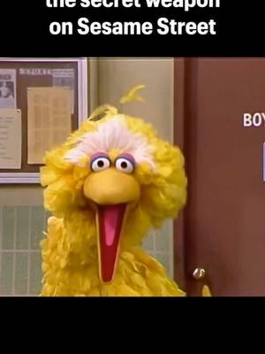 You could see every type of person on Sesame Street. And that was the point… #sesamestreet #elmo #bigbird 