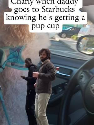 #MemeCut #Meme #memenatal #CapCut #starbucks #funnydogvideos2025 #charlyscornerstore #charlythegoldenpoodle 