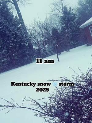 Kentucky snow ❄️ storm 2025 #snow #kentucky #kentuckysnowstorm2025 #snowinkentucky #snowinkentucky💙❄️💙 #snowmeggadon #snowedinatwork #homehealthnurse 