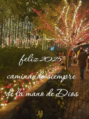 #feliz #2025 # #añonuevo  #nuevasmetas  #nuevospropositos  #caminamdo #siempre  #delamanodeDios 