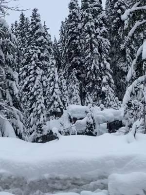 #washinton #snoqualmiepass #paratii #hermosopaisaje #🥰 #nieve #nevado #montaña #cumbiasonidera #Cumbia #❄️ #for #gr 