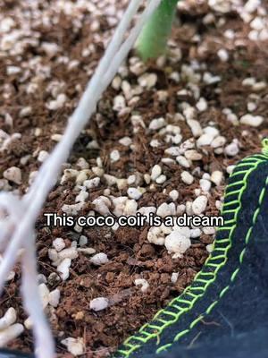 #grower #coco #indoorgarden 