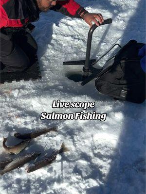 Pescando salmon en el hielo #pescaenelhielo #icefishing #cazaypescacolorado #colorado #mexico #pescadores #montañas #montañascolorado #2025 #pesca #cazaypesca #hispanos #latinos #Outdoors #kokanee #salmon #mexicanos @EL14S D14Z 