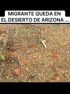 #arizonausa #arizonausa🌵 #migracionusa #migracionusa🇺🇸 #migracionusa🇺🇸✅ #immigrationusa🇺🇸 #arizonastate 