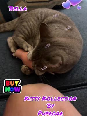 #foryoupageofficiall #thankful #tictokshopholidayhaul #TikTokShop #tictokshopping #NewYearNewAura #affliatetiktok #tiktokshopholidaydeals #tictokshopfinds #pets #catsoftiktok #60andfabulous #cattoys @PUPROAR 