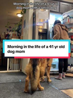 Morning in the life of a dog mom with a senior dog #ditl #germanshepherd #seniordog #fyp #morningroutine #dogmom #dogparents #dogcare #dogroutine #dogmorningroutine #caninefitness #canineconditioning #dogfitness 