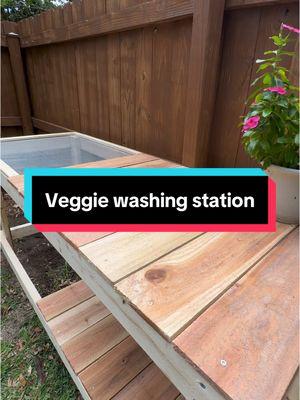 This was my favorite garden project of 2024! #veggiewashingstation #gardenprojects #CapCut 