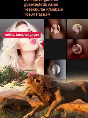 CANLI Yayınıma gönderdiğin harika Hediye için teşekkür ederim! İçeriğimi takdir etmen benim için çok şey ifade ediyor.@Babam Tosun Paşa34 #livegift #lion #aslan 