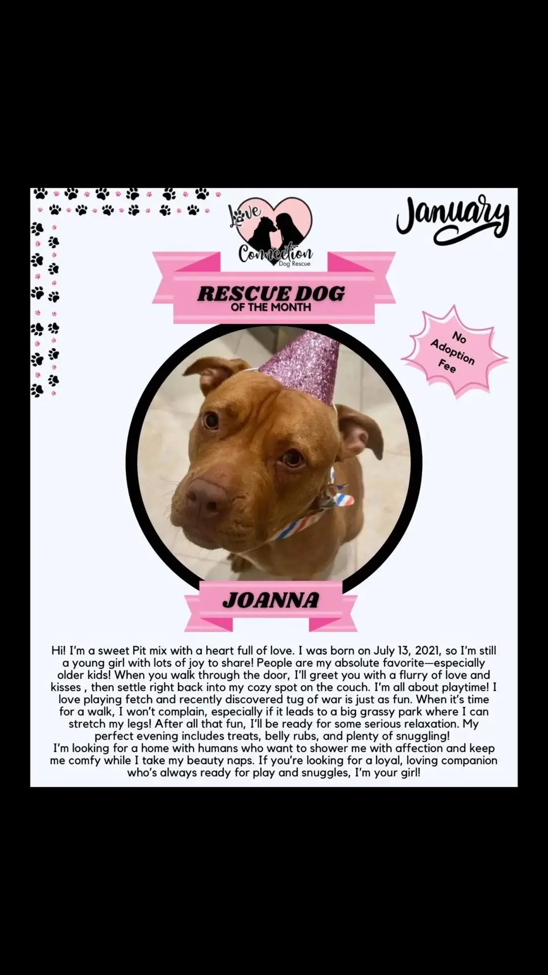 We’re so excited to announce Joanna as our Dog of the Month! This special pup has captured our hearts, and we’re hoping she’ll capture yours too. 💕 Joanna is looking for her forever home, and we need your help to make it happen! By sharing this post and spreading the word, you can help us connect Joanna with the loving family they deserve. Every share, like, and comment brings us one step closer to giving Joanna their happily-ever-after. Let’s make it happen together! 💌 Help us make a difference for a dog in need. Thank you for your support! #DogOfTheMonth #lcdrdogofthemonth  #AdoptDontShop #ShareTheLove #loveconnectiondogrescue #lcdrjoanna