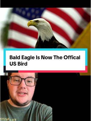 Crazy it took this long #greenscreen #baldeagle #nature #animals #eagles #environment #education #us #unitedstates #wildlife #endangeredspecies #species #wildlifeconservation #conservation 