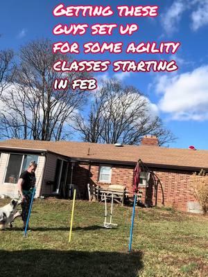 This year we are going to rock the agility ! I hope to get Bishop in competition through the AKC !! #servicedoglife #servicedog #lifewithaservicedog #fyppppppppppppppppppppppp #fypage #fyp #whatayear #agility #agilitytraining #agilitydog #agilitydogsoftiktok #agilitydogs 