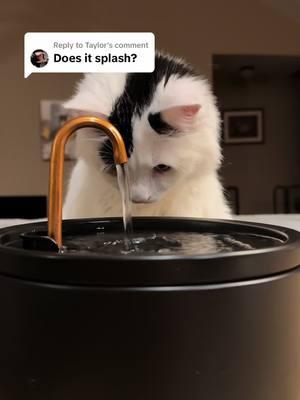 Replying to @Taylor well only if your cat decides to splash water! 😹  #waterfountain #petwaterfountain #ceramicwaterfountain #ceramicbowl #catsoftiktok 