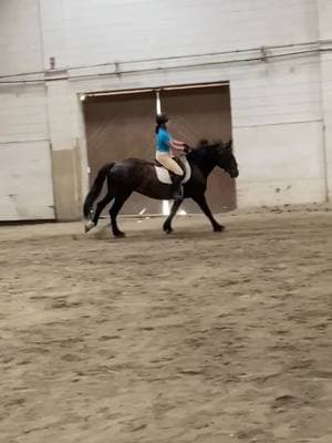 New trend, old video ✨ #equestrian #equestriansoftiktok #equestriansontiktok #horsesoftiktok #horsesontiktok #AnimalsOfTiktok #SportsOfTiktok #fyp 