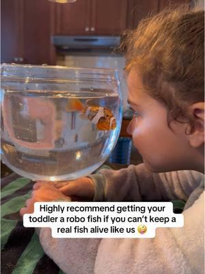 Whoever made these things… THANK YOU 😅 #toddlermom #toddlertok #toddleractivities #kidstiktok #activitiesforkids #robofish 