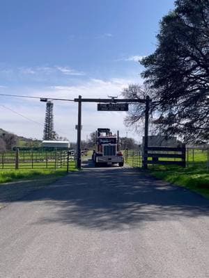 #reevetrucking #countryroads #peterbilt #rackleybiltcustomtrailers  #lowbed #truckinglife #trucking #diesel #truck #truckersoftiktok #trucktok #trucker #bigrig 