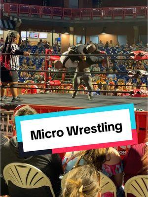 Baseball stadiums, hockey arenas, race tracks, amphitheaters, concert halls, convention centers; Micro Wrestling is gonna be EVERYWHERE in 2025. #microwrestling #prowrestlingtiktok #fortheboys 