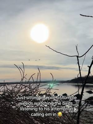 #goosehunting #waterfowl #Sodak #Pierre