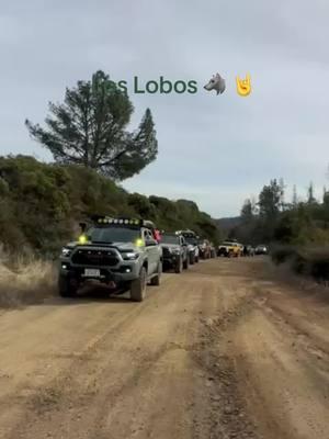 Los Lobos 🐺🤘 #lobosoffroad  #rutiando #tacomabeast #tacomaoffroad #4runnermafia #offroading4x4 