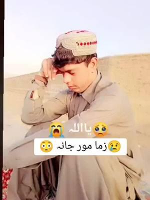 #please #varilvideo #varilvideo #afghanistan🇦🇫 #@Khan Jan #@دا دیر  رنڑا✨ #@🇦🇫313🦅RAEES🇦🇫 #@K H A A N 〽️ #@Waqas Achakzai🖤🖤🖤 #@Zeeshan Khan #@Afghan_force 🇦🇫🦁🇧🇪 