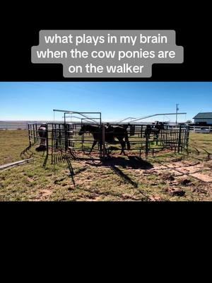 🤣🤣                                                                                             #ranchlife #horsesoftiktok #horselife #horsewalk #humortiktok #mybrain #oklahomaranch #fypシ #fyp #oklahoma #cowboylife #ranchtok #cowpony 