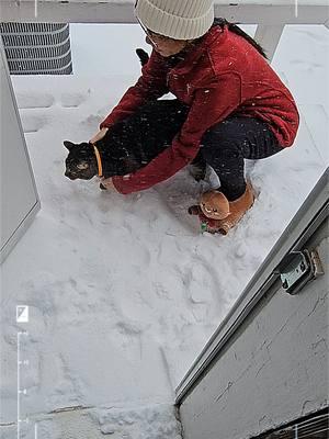 First snow of my cats #kucingnyimut #reels #snow #snowing #cat #catsoftiktok #pets #ทาสแมว #แมวน่ารัก #แมวอ้วน #แมวเหมียว #memes 