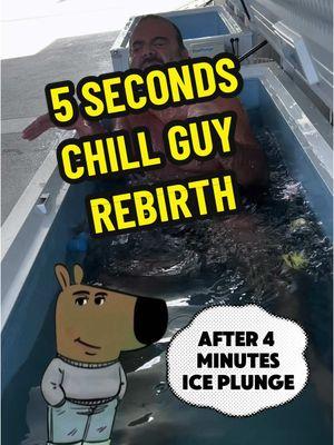 Just a chill guy under ice water for 5 seconds, rebirth for 2025 #chillguy #iceplunge #miami #streann