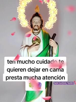 #paratiiiiii #el #señor #del #baston #san #judas #tadeo #gracias #por #un #dia #mas #💚💚💚💚 #💛💛 #☘️🧿📿 