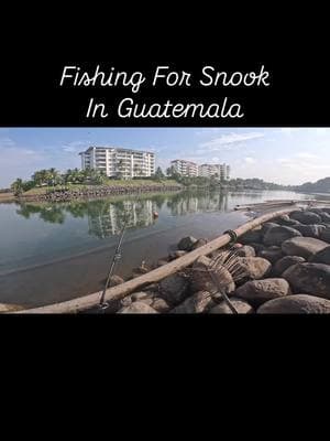 Fishing for Snook in Guatemala. Video filmed on our @GoPro.  #fishingfins #fishing #fishinglife #fishingaddict #fishon #fishingtrip #fishingdaily #fishingboat #sea #sealife #ocean #oceanlife #guatemala #fyp #angler #fisherman #pescadeportiva #pesca #Outdoors #nature