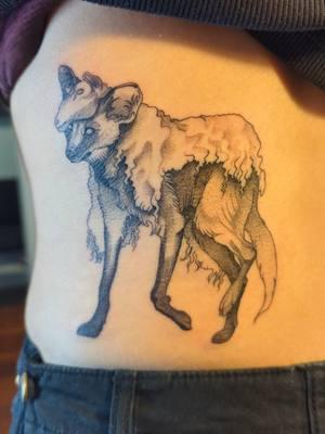 Madelynn (@Mad_S_Tattoo) created this wolf in sheep's clothing piece.  #gainesvilletattoo #orlandotattoo #pizzazzpiercingandtattoo #tattoo #floridatattoo #tampatattoo #tattoosofinstgram #gainesvilletattooshop #blackandgraytattoo #femaletattooartist #illustrativetattoo #wolftattoo #wolfinsheepsclothing #manedwolf #manedwolfart #womanownedbusiness 