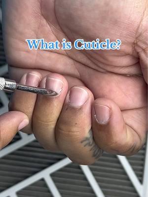 True cuticle is the clear, sticky or hard  dead skin on your nail plate. This is often mistaken for the Epinychium aka the Proximal Nail Fold which is the fold of skin at the base of the nail that protects the nail and keeps it in place. #cityescapespa #naileducation #cuticleprep #proximalnailfold #naileducationforclients #nails101 #nailtipsandtricks #cuticle 