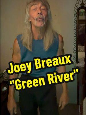 Creedence has always been a favorite.  John Fogerty is the man.  Barefoot girls, dancin' in the moonlight... "Green River" #joeybreaux #karaoke #karaoketiktok #ccr #classic #rock 