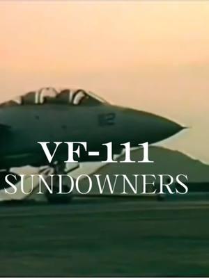 VF-111, plus I’m back for real                                                                        #fyp #f14enjoyer #f14 #vf111 #f14tomcat #military #militaryedit #aviation #aviationedit #retroaviation #viral 