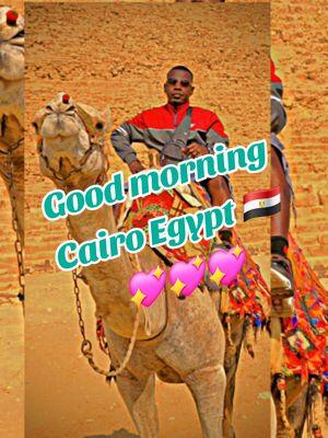 Good morning  Cairo Egypt 🇪🇬  💖💖💖 #cairoegypt #gizapyramids 