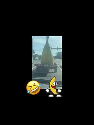 #bannanas🍌 #bannanasplit #humortiktok #funnycarvideos 