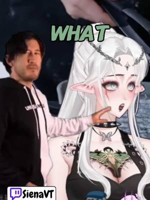 Markiplier doesn’t like my model 😫😫 #sienavt #twitchclips #yapping #GamingOnTikTok #markiplier #vtuber #anime 