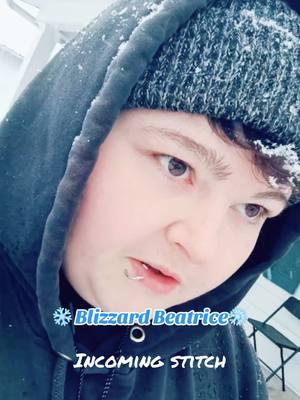 #stitch with @🖕🏼𝔸𝕃𝕀 𝕂𝔸𝕐𝔼🖕🏼 I am fully aware I look like a warmed over trash truck but honestly it’s fineee.  Blizzard Beatrice is angry.  #fyp #blizzardbeatrice #newyear #2025 #bingocard #ohio #samanthaerin 