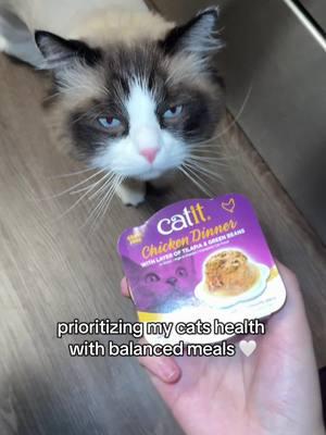 I found the best wet food for my kitty 🥰 2025 is all about prioritizing my cats health 💕 #cats #cat #catfood #catfoodtips #catfoodrecommendation #wetfood  #newyearnewaura #tiktokshopfinds #tiktokshopmademebuyit #TikTokShop   #catit 