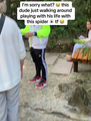 Just casually walking along and ran into this random guy playing with a banana spider like it was a pet 😭 #🕷️ #bananaspider #petspider #spiderman #spiders #wtf #imsorrywhat #japanesegarden #arachnaphobia 