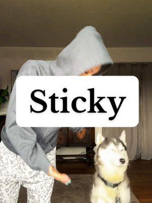 @Keeto Tikani Siberian Husky  stealing the show he wanted it in on the sticky dance. #stickydancechallenge #sticky #stickydance #huskylife #huskymomma #dancetrends #tiffluvs2dance  Rocking my favorite Sunday morning outfit! #tiktokshopfinds  Dc @Baby 