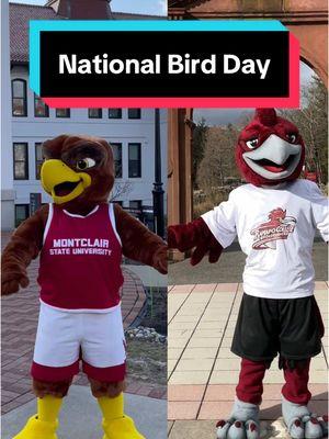 Celebrating #NationalBirdDay with 2 of NJ’s birds, @Rocky the Red Hawk & Rocky the Roadrunner! @Ramapo College of New Jersey  #RedHawkRide #WeAreRCNJ #mascots #newjersey #college #montclairstateuniversity 